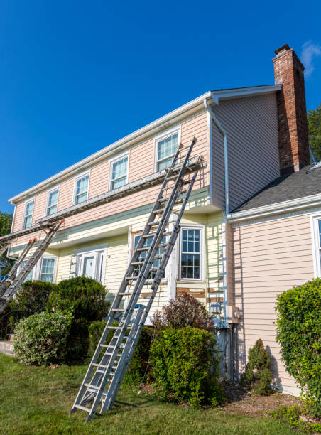 Best Custom Trim and Detailing for Siding  in Munhall, PA